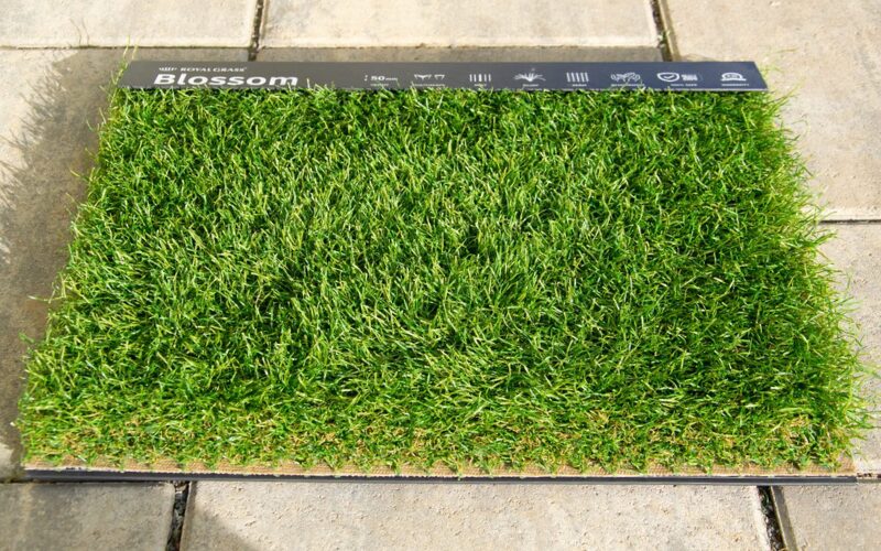 Vzorka umelého trávnika Royal Grass® Blossom s hustými vláknami a prirodzenou zelenou farbou