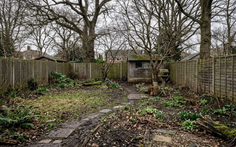 Tienená záhrada na jar s riedkou trávou a blatom – problémové miesto, kde tráva dlhodobo nerastie